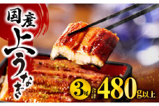 九州産うなぎ蒲焼3尾（計480g以上＆さんしょう、たれ付き）_M040-012