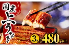 九州産うなぎ蒲焼3尾（計480g以上＆さんしょう、たれ付き）_M040-012