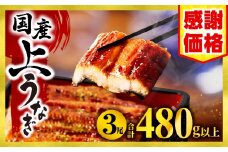 【数量・期間限定】九州産うなぎ蒲焼3尾（計480g以上＆さんしょう、たれ付き）_M040-012