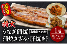 《丑の日までにお届け予定(7月20日～7月31日)》国産うなぎ蒲焼(特大サイズ)・きざみ・肝焼きセット_M069-014_01-U2