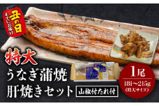 《丑の日までにお届け予定(7月20日～7月31日)》国産うなぎ蒲焼(特大サイズ)・肝焼きセット_M069-015_01-U2