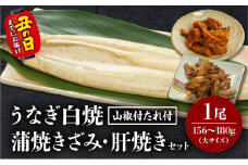 《丑の日までにお届け予定(7月20日～7月31日)》うなぎ白焼(大サイズ)・きざみ・肝焼きセット_M069-020-U2