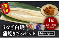 《丑の日までにお届け予定(7月20日～7月31日)》うなぎ白焼(大サイズ)・きざみセット_M069-021-U2
