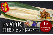《丑の日までにお届け予定(7月20日～7月31日)》うなぎ白焼(大サイズ)・肝焼きセット_M069-022-U2