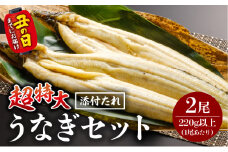 《丑の日までにお届け予定(7月20日～7月31日)》うなぎ白焼(超特大サイズ) 2尾_M069-023-U2