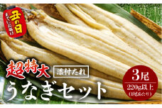 《丑の日までにお届け予定(7月20日～7月31日)》うなぎ白焼(超特大サイズ) 3尾_M069-024-U2