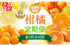 《先行予約》【期間・数量限定】【定期便】宮崎市柑橘特産6ヶ月コース_M354-T002