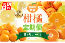 《先行予約》【期間・数量限定】【定期便】宮崎市柑橘特産6ヶ月コース_M354-T002