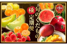 【数量限定】旬のくだもの【極】定期便【全9回】_M153-T043
