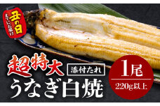 《丑の日までにお届け予定(7月20日～7月31日)》うなぎ白焼(超特大サイズ) 1尾_M069-025-U2