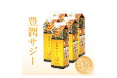 豊潤サジー 1000ml×5本セット サジージュース【紙パックタイプ】_M327-005