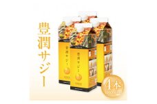 豊潤サジー 1000ml×4本セット サジージュース【紙パックタイプ】_M327-004