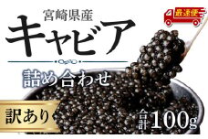 【最速便】【日時指定可能】【訳あり】宮崎県産キャビア 詰め合わせ 合計100g_M017-049-2W