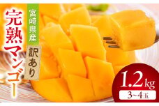 【期間・数量限定】宮崎県産訳あり完熟マンゴー1.2kg(3～4玉)_M359-006