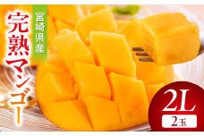 【期間・数量限定】宮崎県産完熟マンゴー2L(2玉)_M359-002-02