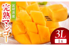 【期間・数量限定】宮崎県産完熟マンゴー3L(1玉)_M359-003-01