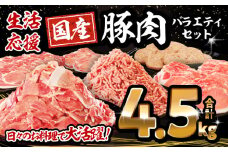 【2025年8月発送】大満足豚肉ロースバラエティセット4.5kg_M132-094-aug