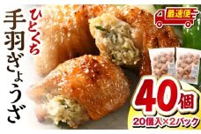 【最速便】ひとくち手羽ぎょうざ 計40個 20個入×2パック_M025-005-2W
