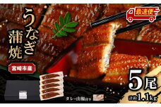 【最速便】【日時指定可能】宮崎県宮崎市産　うなぎの蒲焼　約1.1kg（約220g×5尾）タレ・山椒セット｜鰻 うなぎ ウナギ うなぎ蒲焼 鰻蒲焼 ウナギの蒲焼 宮崎県産 蒲焼 ギフト 丑の日 タレ 鰻のたれ うなぎのたれ 宮崎うなぎ 宮崎県 宮崎市｜_M325-012-2W