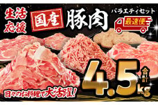 【最速便】大満足豚肉ロースバラエティセット4.5kg_M132-094-2W