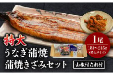 《2025年8月発送予定》国産うなぎ蒲焼(特大サイズ)・蒲焼きざみセット_M069-017_01-aug
