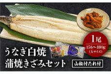 《2025年8月発送予定》うなぎ白焼(大サイズ)・きざみセット_M069-021-aug