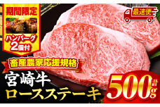 【最速便】【期間・数量限定】畜産農家応援！宮崎牛ロースステーキ250g×2・国産牛ハンバーグ100g×2個_M132-014-B2-2W