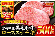 【最速便】【期間・数量限定】畜産農家応援！宮崎県産黒毛和牛ロースステーキ250g×2・国産牛ハンバーグ100g×2個_M132-091-B2-2W
