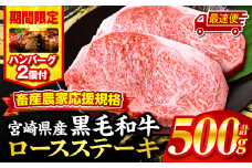 【最速便】【期間・数量限定】畜産農家応援！宮崎県産黒毛和牛ロースステーキ250g×2・国産牛ハンバーグ100g×2個_M132-091-B2-2W