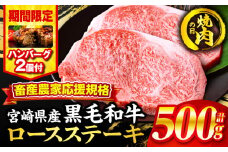 【焼肉の日(8月29日)までにお届け】【期間・数量限定】畜産農家応援！宮崎県産黒毛和牛ロースステーキ250g×2・国産牛ハンバーグ100g×2個_M132-091-B2-NK
