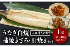 《2025年9月発送予定》うなぎ白焼(大サイズ)・きざみ・肝焼きセット_M069-020-sep