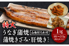 《2025年9月発送予定》国産うなぎ蒲焼(特大サイズ)・きざみ・肝焼きセット_M069-014_01-sep