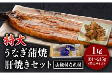 《2025年9月発送予定》国産うなぎ蒲焼(特大サイズ)・肝焼きセット_M069-015_01-sep