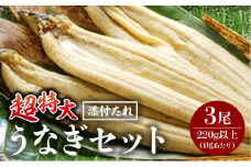 《2025年9月発送予定》うなぎ白焼(超特大サイズ) 3尾_M069-024-sep