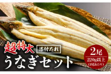 《2025年9月発送予定》うなぎ白焼(超特大サイズ) 2尾_M069-023-sep