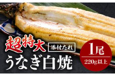《2025年9月発送予定》うなぎ白焼(超特大サイズ) 1尾_M069-025-sep