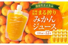 宮崎県産 まる搾りみかんジュース 220ml×12本_M249-008-02