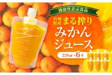 宮崎県産 まる搾りみかんジュース 220ml×6本_M249-008-01