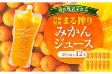 宮崎県産 まる搾りみかんジュース 500ml×12本_M249-009-02