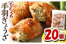 ひとくち手羽ぎょうざ 20個入×1パック_M025-005-01