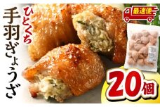 【最速便】ひとくち手羽ぎょうざ 20個入×1パック_M025-005-01-2W