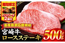 【2025年9月発送】【期間・数量限定】畜産農家応援！宮崎牛ロースステーキ250g×2・国産牛ハンバーグ100g×2個_M132-014-B2-sep