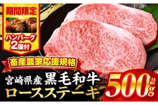 【2025年9月発送】【期間・数量限定】畜産農家応援！宮崎県産黒毛和牛ロースステーキ250g×2・国産牛ハンバーグ100g×2個_M132-091-B2-sep