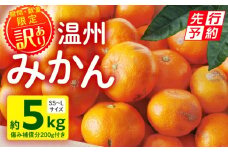 《2025年発送先行予約》【期間・数量限定】《訳あり》温州みかん5kg(傷み補償分200g付き)_M249-003-02