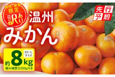 《2025年発送先行予約》【期間・数量限定】《訳あり》温州みかん8kg(傷み補償分200g付き)_M249-003-03