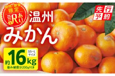 《2025年発送先行予約》【期間・数量限定】《訳あり》温州みかん16kg(傷み補償分200g付き)_M249-003-04