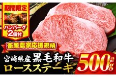 【2025年10月発送】【期間・数量限定】畜産農家応援！宮崎県産黒毛和牛ロースステーキ250g×2・国産牛ハンバーグ100g×2個_M132-091-B2-oct