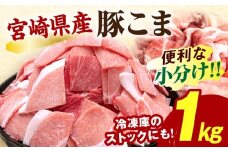 宮崎県産豚肉小間切れ 200g×5パック_M109-024