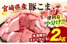 宮崎県産豚肉小間切れ 200g×10パック_M109-024-01
