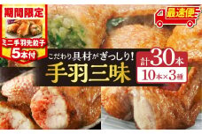 【最速便】【期間・数量限定】手羽先3種セット(手羽先餃子・手羽先明太・手羽先チーズ)各10本入り・手羽先餃子(小サイズ5本)_M025-001-02-B-2W
